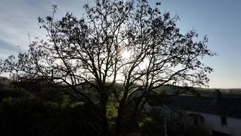 Aerial view of sun behind a tree in french contryside in january Video stock 291545291