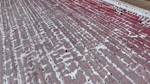 Aerial view of sun-dried tomatoes in Siverek Sanliurfa Turkey 스톡 동영상 305532163