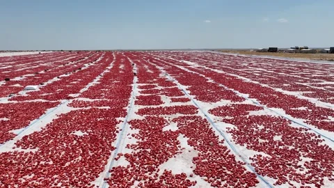 Aerial view of sun-dried tomatoes in Siverek Sanliurfa Turkey 스톡 동영상 305532807