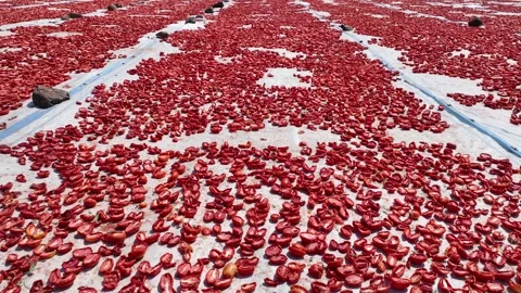 Aerial view of sun-dried tomatoes in Siverek Sanliurfa Turkey Video stock 305532923