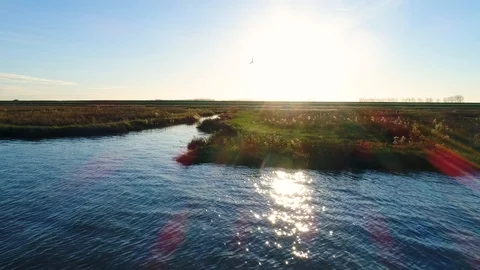 Aerial view of sun reflection over the water with seagulls flying, Netherlands. Stock Footage 101567854