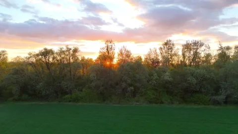 Aerial view of sun setting behind trees in a lush green field, showcasing the Видео 334035767