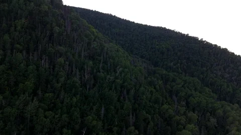 Aerial view of sun setting over dense green forested mountain ridge in Mont Stock Footage 345677469