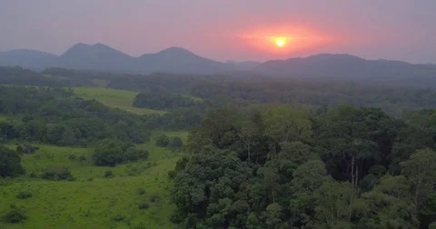 Aerial view of the Sunrise in the Equatorial Forest in Africa Gabon 2015 Stock Footage