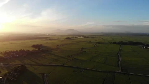 Aerial view of sunrise, paddy fields and blue sky in Kepala Batas, Penang Stock Footage 228339241