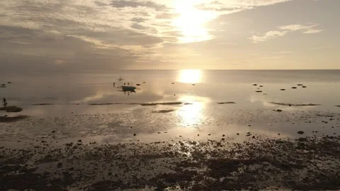 Aerial View of a Sunset at the Beach Stock Footage 246834961