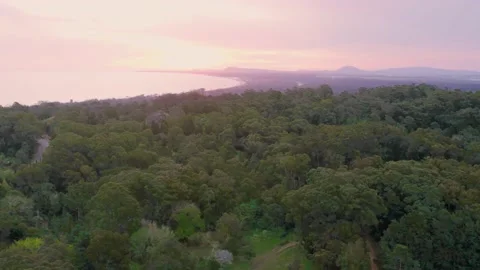 Aerial view on sunset behind forest on.the ocean Stock Footage 220688559