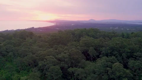 Aerial view on sunset behind forest on.the ocean Stock Footage 220833654