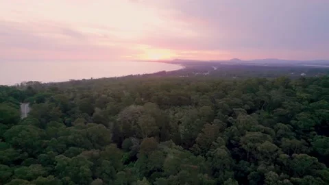 Aerial view on sunset behind forest on.the ocean Stock Footage 222047223