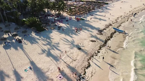 Aerial view of sunset casts over beach, sun loungers, umbrellas and palm trees Video stock 272261592