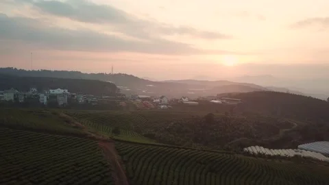 Aerial view of sunset in Cau Dat Tea Hill in Dalat, Lam Dong, Vietnam Stock Footage 130997502