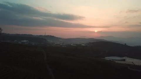 Aerial view of sunset in Cau Dat Tea Hill in Dalat, Lam Dong, Vietnam Stock Footage 130997598