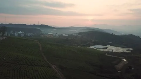 Aerial view of sunset in Cau Dat Tea Hill in Dalat, Lam Dong, Vietnam Stock Footage 130997716