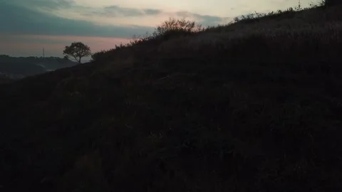 Aerial view of sunset in Cau Dat Tea Hill in Dalat, Lam Dong, Vietnam Stock Footage 130997919