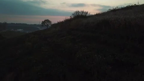 Aerial view of sunset in Cau Dat Tea Hill in Dalat, Lam Dong, Vietnam Stock Footage 130998089