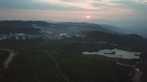 Aerial view of sunset in Cau Dat Tea Hill in Dalat, Lam Dong, Vietnam Stock Footage 130998129