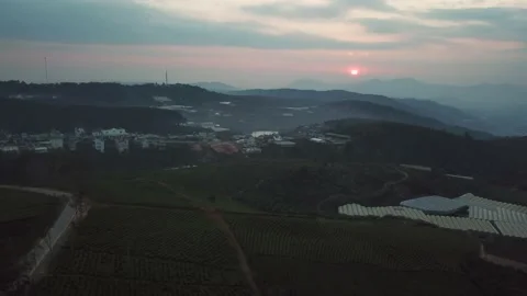 Aerial view of sunset in Cau Dat Tea Hill in Dalat, Lam Dong, Vietnam Stock Footage 130998262