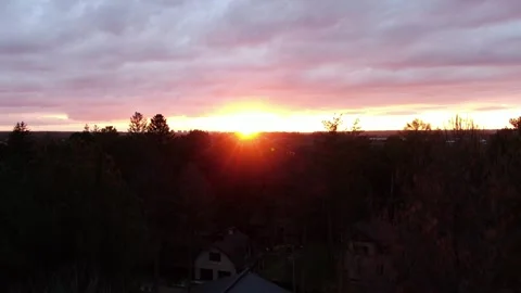 Aerial view of sunset. Drone ascends along pine tree. Summer in Siberia, Russia. Stock Footage 321378499