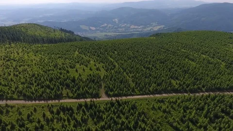 Aerial View. Sunset. Flight over a green grassy hills. Vídeo Stock 77320197