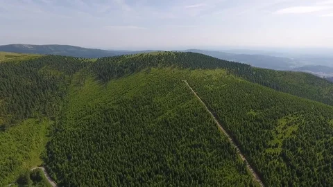 Aerial View. Sunset. Flight over a green grassy hills. Stock Footage 77321575