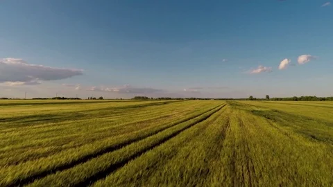 Aerial View. Sunset. Flight over a green grassy rocky hills. Russia. Summer Stock Footage 83847708