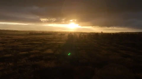 Aerial view of sunset fly drone field and trees at rain Stock Footage 312320997