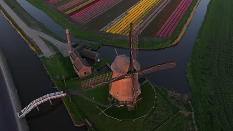 Aerial view of sunset landscape with windmill, tulip bands and Dutch canal Stock Footage 313362459