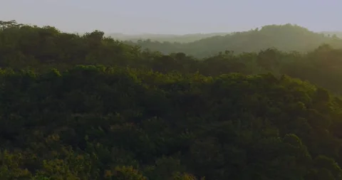Aerial View of Sunset Light Across Dense Tropical Jungle Landscape Stock Footage 332271547