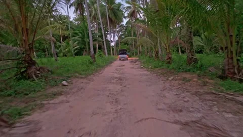 Aerial view of sunset light over tropical road and trees, Koh Kood, Thailand Stock Footage 310524691
