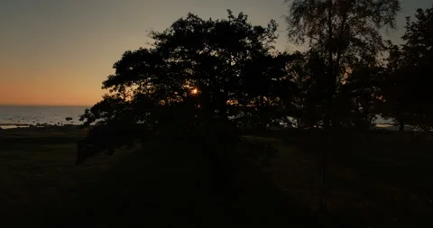 Aerial view of the sunset with orange sun in the sea through the trees Stock-Footage 87420169