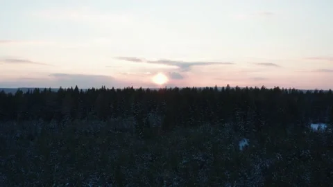 Aerial view of the sunset over the endless forest Stock Footage 150931138