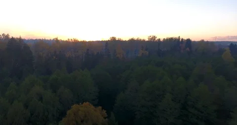 Aerial view of the sunset over the forest in autumn. Video stock 93128950