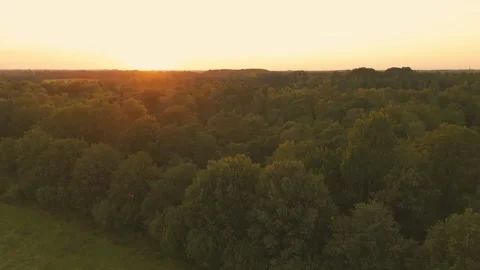Aerial view of the sunset over a forest and lake with a typical Dutch landscape Stock-Footage 281257240