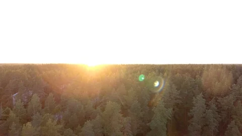 Aerial view of the sunset. Panoramic view of the horizon. Stock Footage 93226352