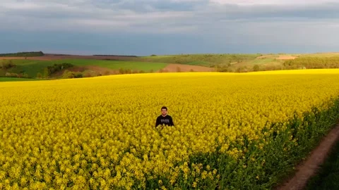 Aerial view sunset rapeseed field man selfie Stock Footage 140551040