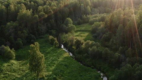 An aerial view of a sunset in a summer forest Stock-Footage 247965599