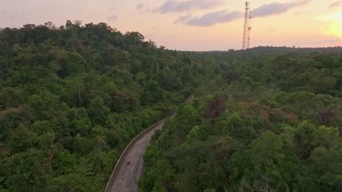 Aerial view of sunset trail cutting through tropical forest, Koh Kood, Thailand Video stock 310524006