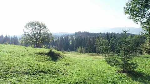 Aerial View. Sunshine. Flight Over A Green Grassy Rocky Hills Stock Footage 101491524