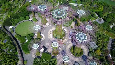 Aerial view super trees Gardens by the Bay, popular tourist attraction Singapore Stock Footage 78462000