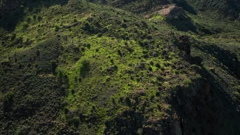 Aerial view of Superstition Mountain, United States. Stock Footage 320165448