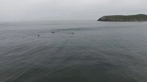 Aerial View Of Surfer Catching A Wave While Friends Watch Stock Footage 70401605