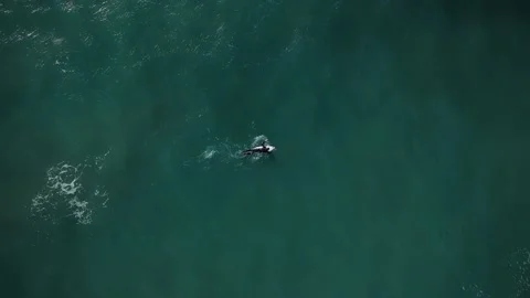 An aerial view of surfer in the ocean on a clear day. Stock Footage 134834836