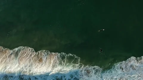 An aerial view of surfer in the ocean on a clear day. Stock Footage 134836634