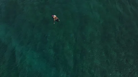 Aerial view of surfer in the ocean Stock Footage 295775493