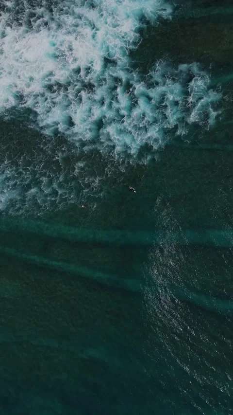 Aerial view of surfer in the ocean.Vertical video Stock Footage 295775366