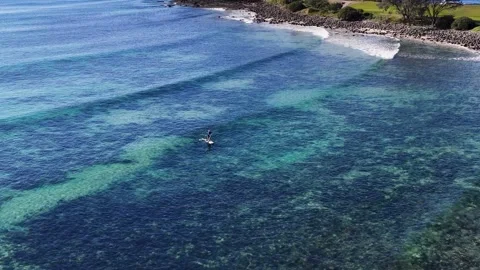 Aerial View of Surfer Riding Long Wave at Crescent Head Stock Footage 342086321