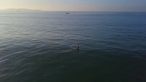 Aerial view surfer waiting for waves in lineup sunrise drone footage Stock Footage 84823919
