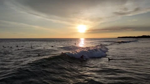 Aerial view of surfer on the wave on Canggu beach at sunset. Bali, Indonesia Stock Footage 320378407