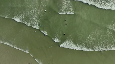 Aerial View of Surfers Catching Waves Stock Footage 313333587