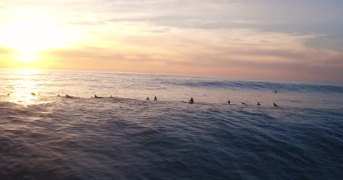 Aerial View Surfers Floating in Lineup at Mavericks Stock Footage
